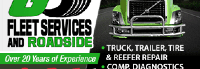 Pros Go Fleet Services LLC